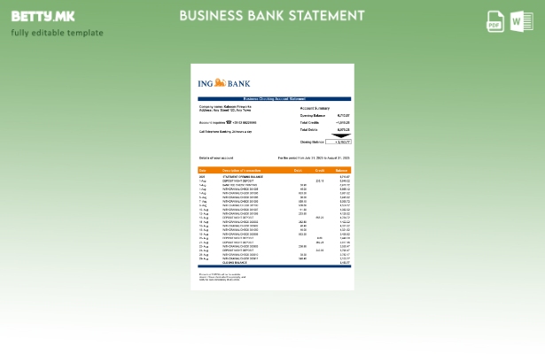 Модерен стил Италијански ING банкарска сметка на претпријатието шаблон Word и PD